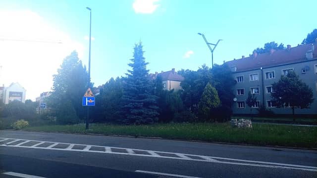 Zakątek zieleni - Image 2