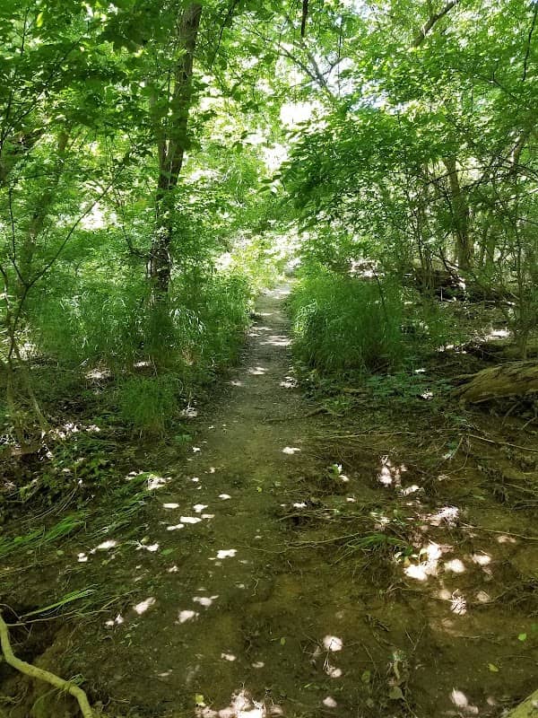 Cherry Creek Park - Image 2