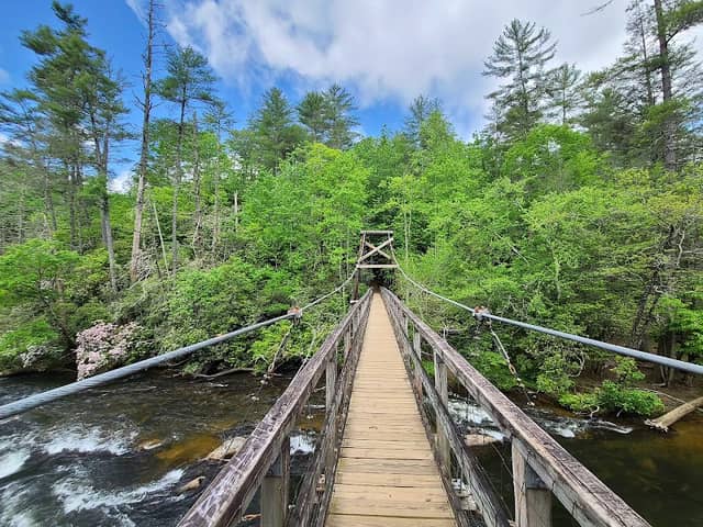 Swinging Bridge on the Toccoa River - Image 1