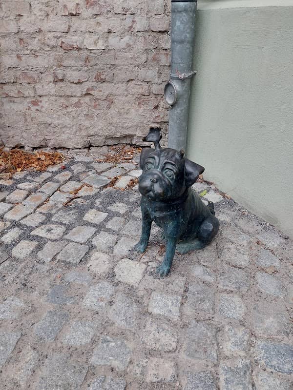Waldmops am Dom - Image 1