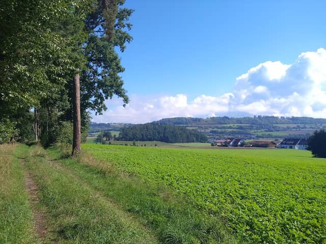 Crottendorfer Park - Image 1