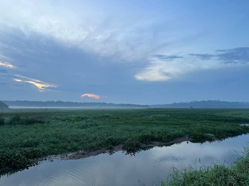 Vellayani Biodiversity and Bird Watching Area - Image 1