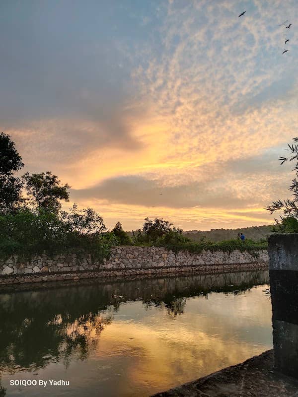 Vellayani Biodiversity and Bird Watching Area - Image 3
