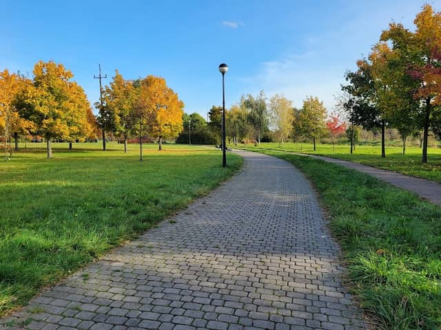 Park Raszyński im. Magdaleny Abakanowicz - Image 1