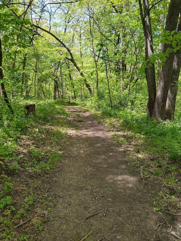 Goeldner Woods Co Park - Image 2