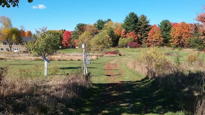Viles Arboretum - Image 2