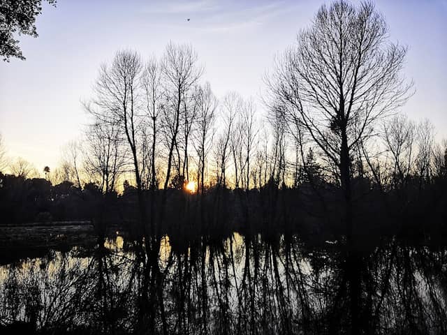 West Pond - Image 2