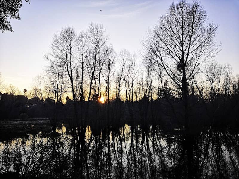 West Pond - Image 2