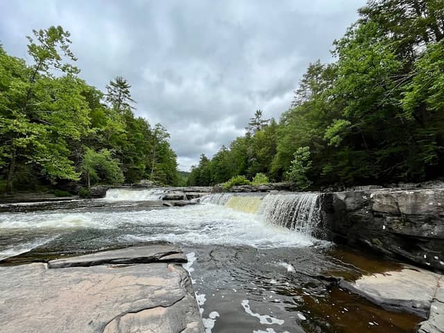 Neversink River Unique Area - Image 3
