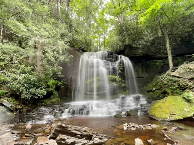 Neversink River Unique Area - Image 1