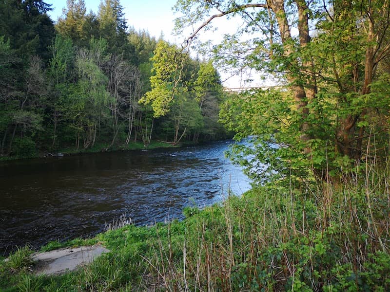 Dee walk - Image 1