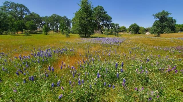 Maidu Museum & Historic Site - Image 2