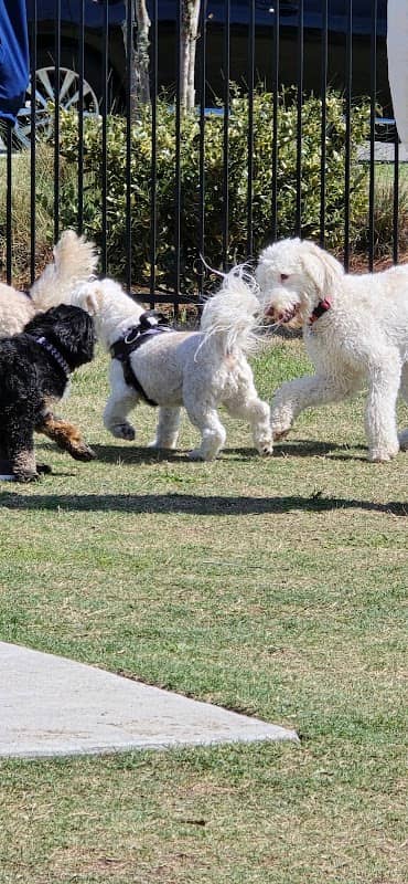 West Dog Park - Image 1
