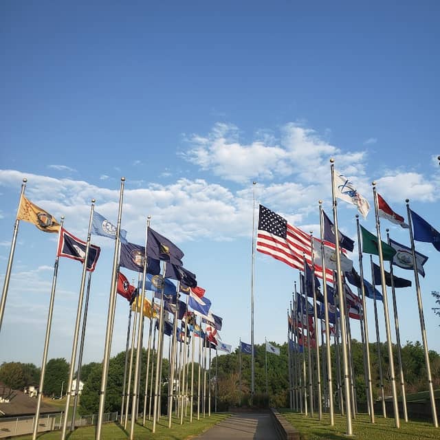Flag Display - Image 1