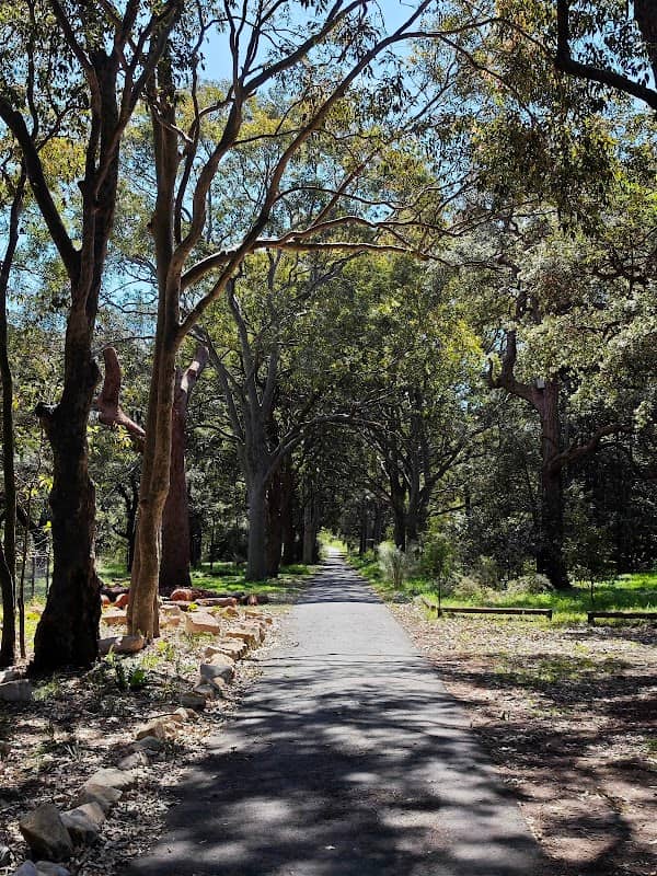 Queen Elizabeth Park - Image 2