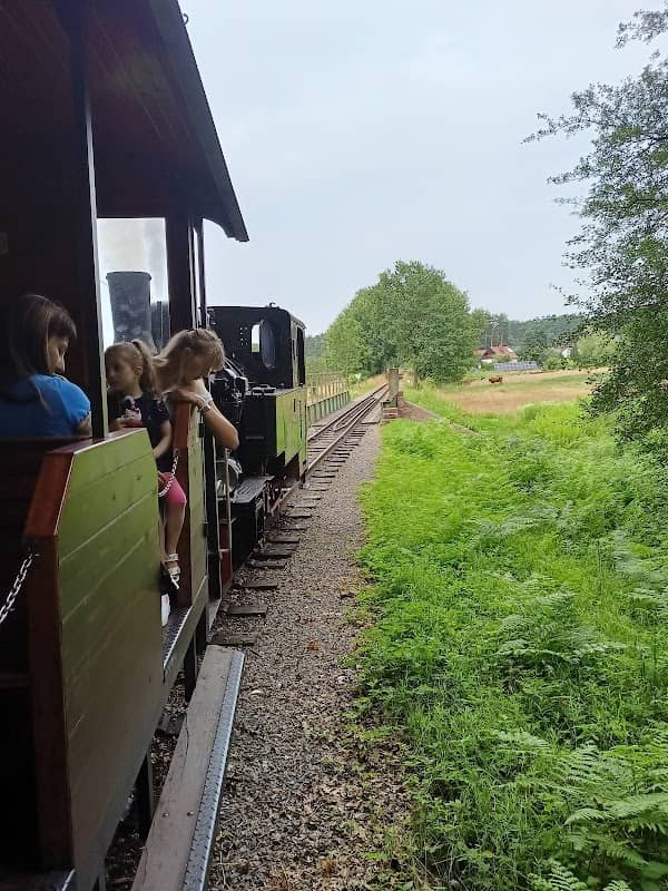 Stacja Górnośląskich Kolei Wąskotorowych - Rybnik Stodoły - Image 1