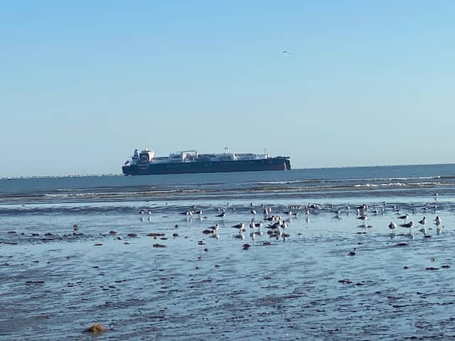 Galveston Tip - Image 2