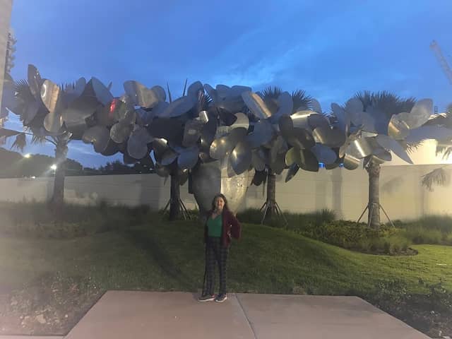 Doral - Image 2