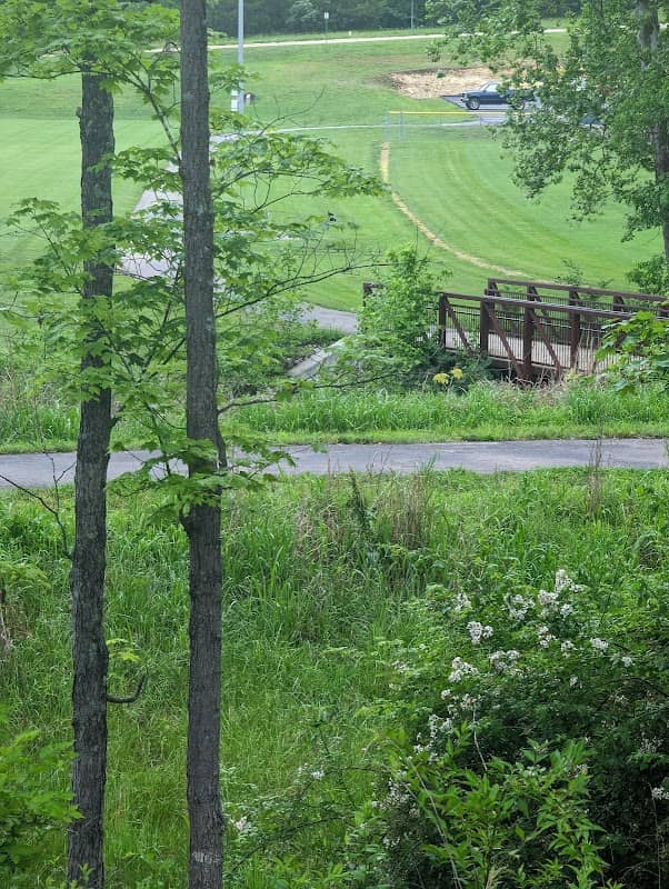 Vineland Walking Trail - Image 2
