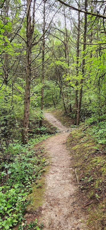 Frog Hollow Nature Trail - Image 2
