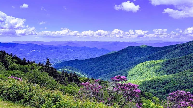 Yellow Face Overlook - Image 1