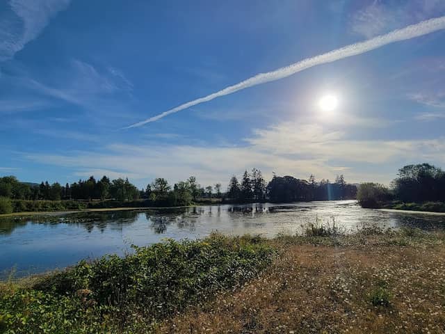 River Parkway Walkway - Image 1