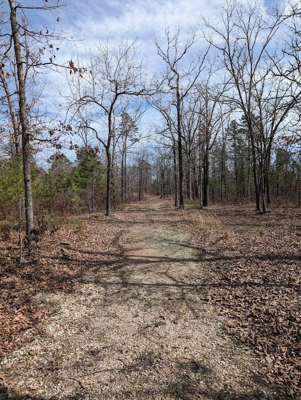 Coldwater Conservation Area - Image 2