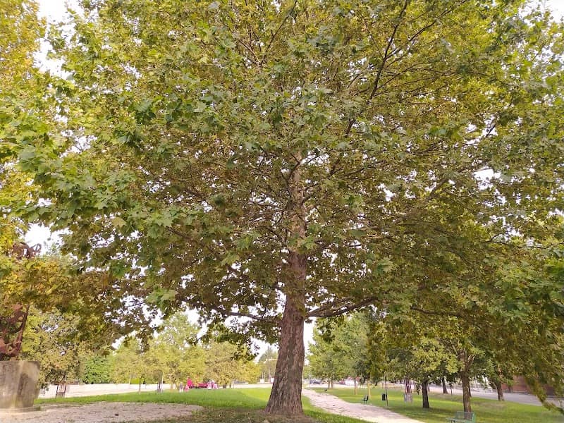 Parco Pubblico - Image 1