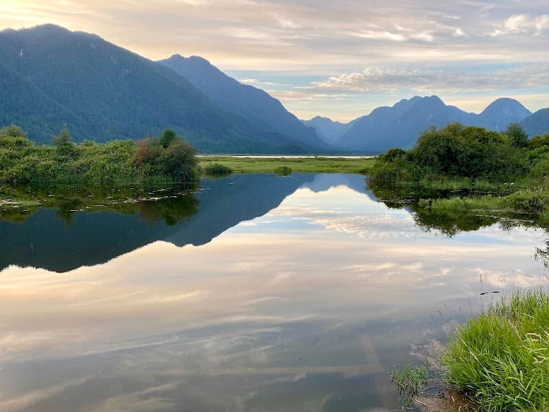 Pitt Lake - Image 1