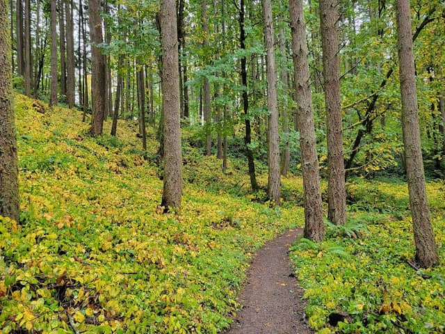 Amazon Headwaters Park - Image 1