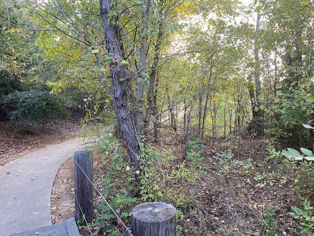 Lonesome Dove Park - Image 2