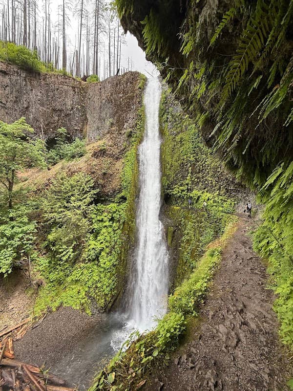 Tunnel Falls - Image 1