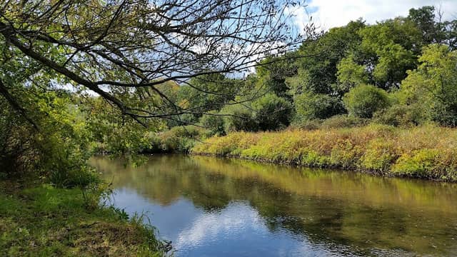 White River County Park - Image 1
