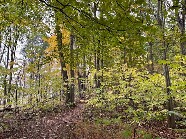 DuPont Nature Center - Image 1