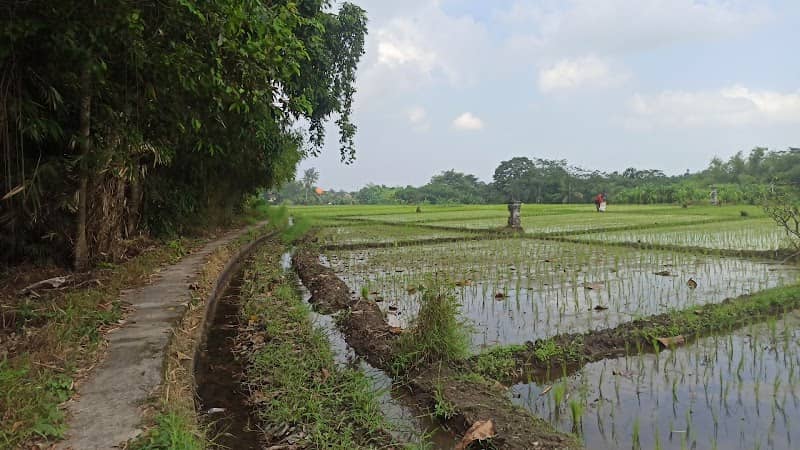 Joging trek carik padang - Image 1