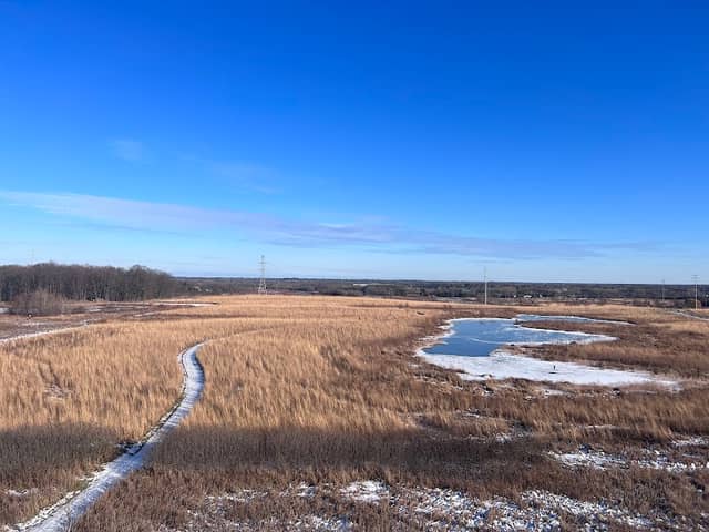 Mequon Nature Preserve Observation Tower - Image 1