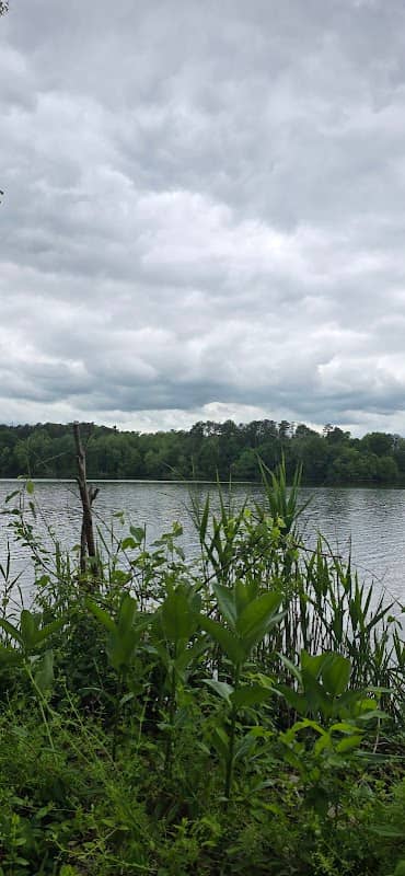 Bluegill Bay Kayak Launch - Image 2