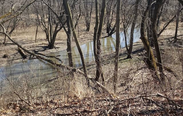 Glenwood Woods-South - Image 1