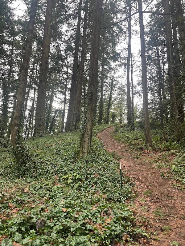 Castle Rock Trail - Image 1