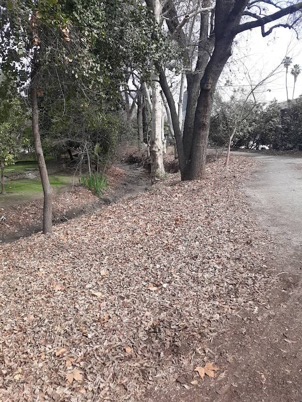 West Main Park - Image 2