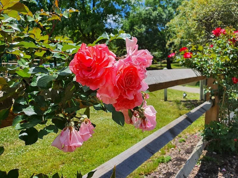 Gene Strowd Rose Garden Park - Image 1