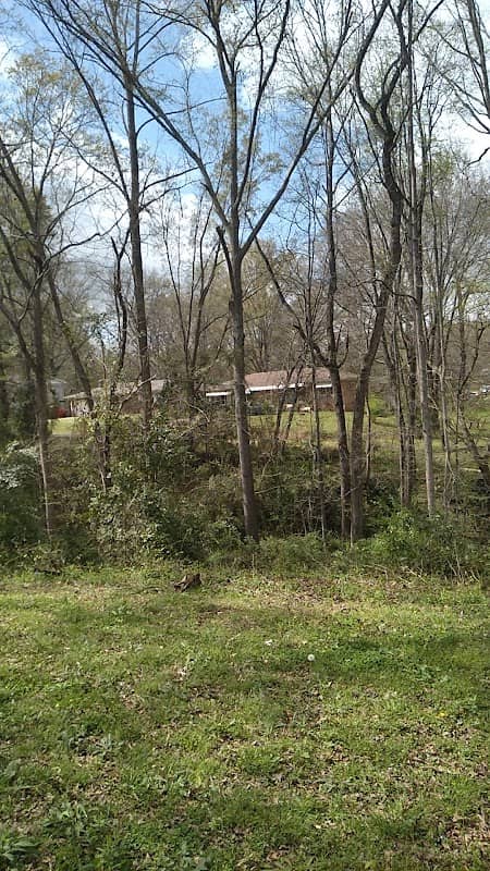 Jersey Park - Image 2
