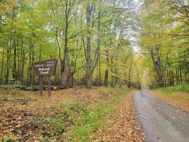 Finger Lakes Trailhead - Image 1