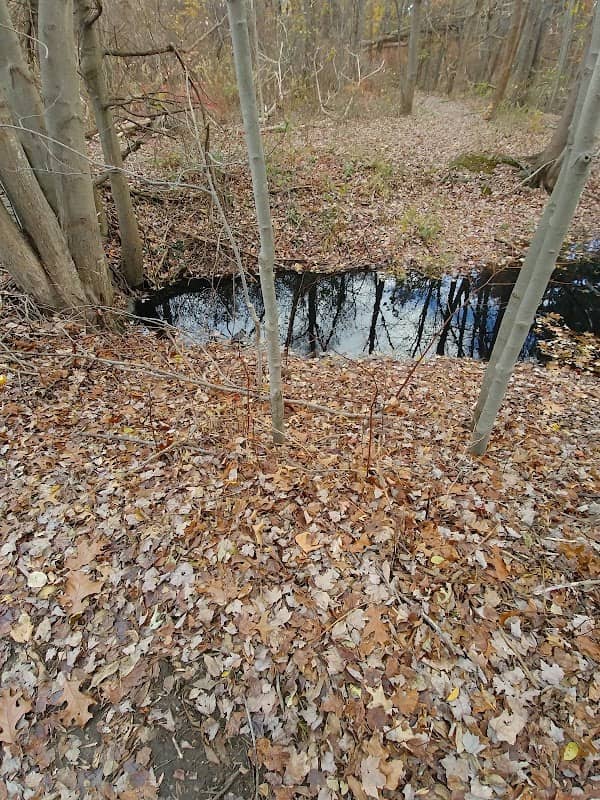 Goodwin Park - Image 1