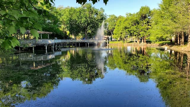 Magnolia Park - Image 1