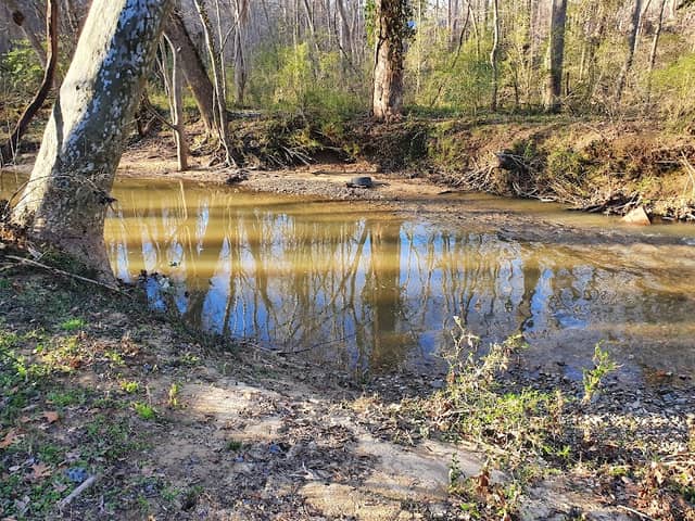 Bolin Creek - Image 2