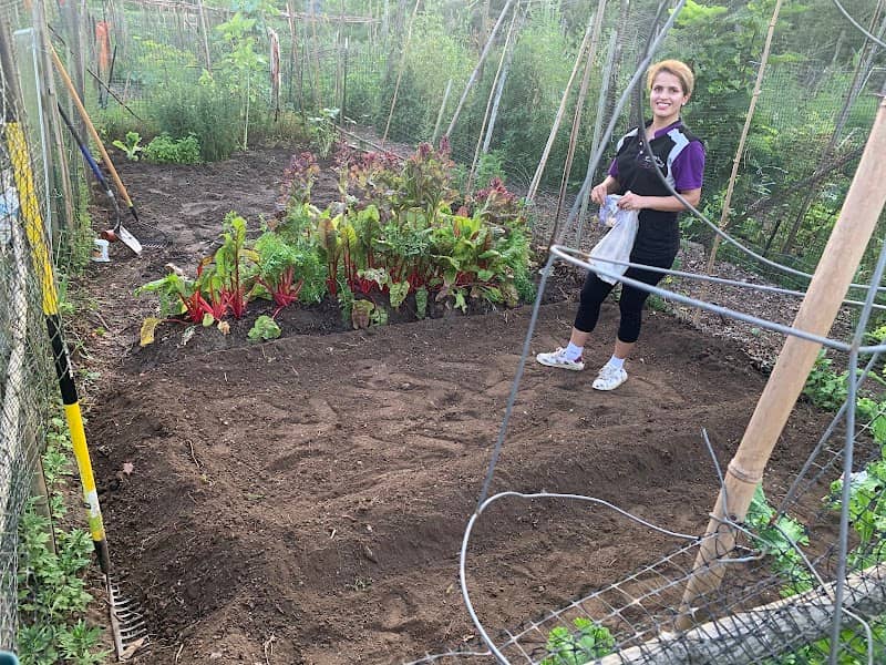 West Side Community Gardens - Image 1