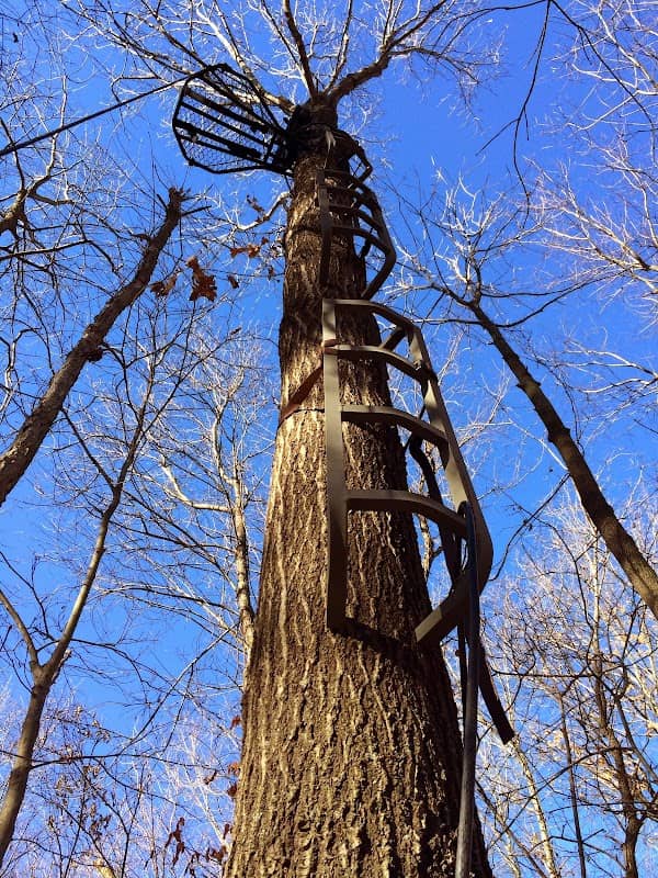 Walnut Woods Conservation Area - Image 2