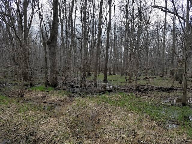 Van Loon Wildlife Area - Image 1