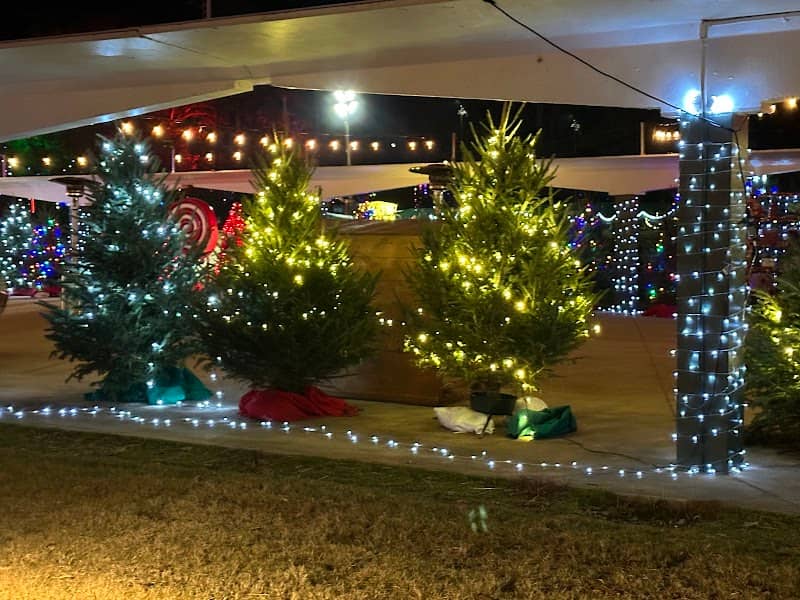 Callaway Fantasy in Lights - Image 3